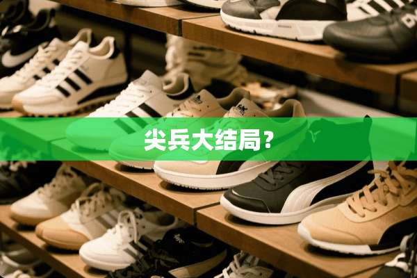 尖兵大结局？