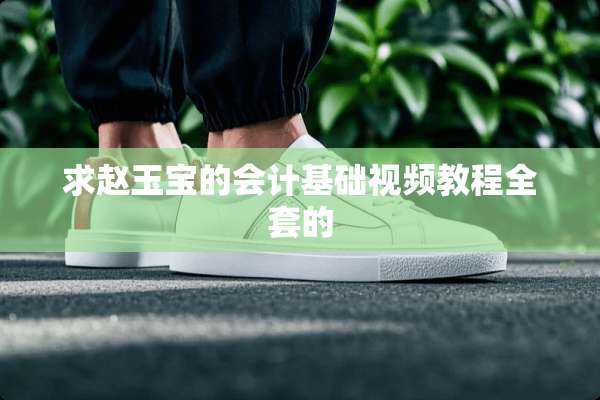 求赵玉宝的会计基础视频教程**的