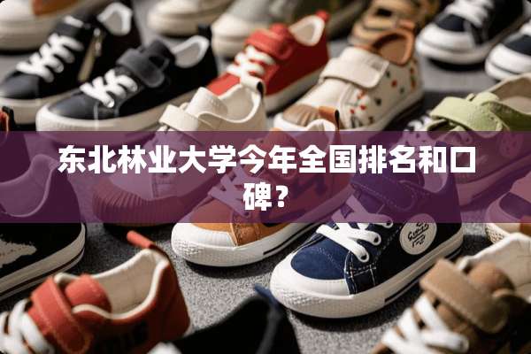 东北林业大学今年全国排名和口碑？