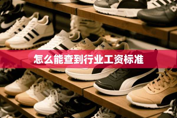 怎么能查到行业工资标准