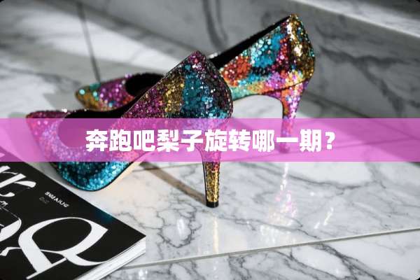 奔跑吧梨子旋转哪一期？