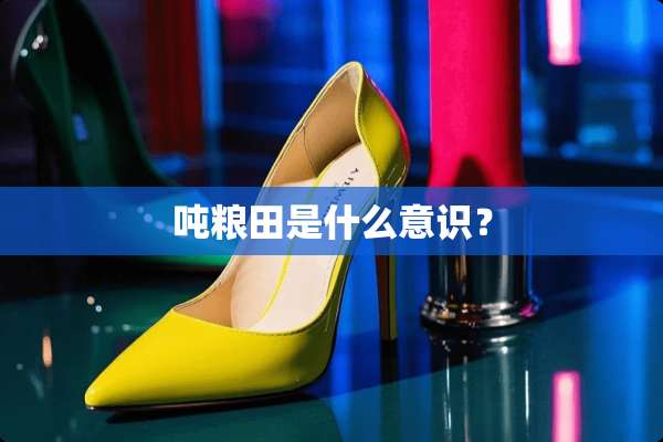 吨粮田是什么意识？