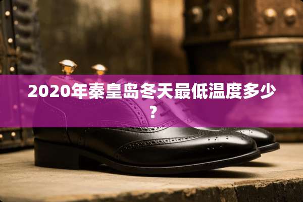 2020年秦皇岛冬天最低温度多少？