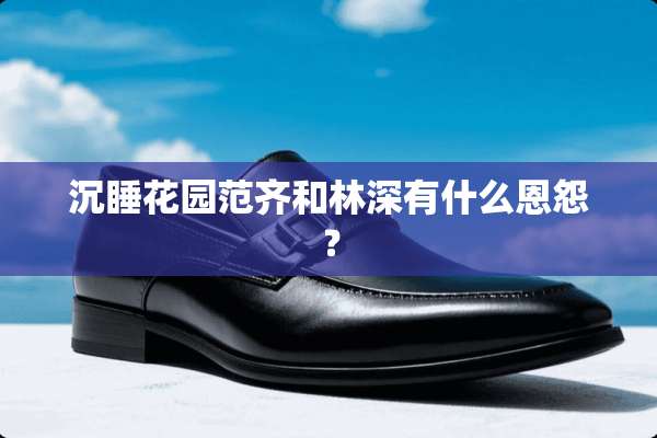 沉睡花园范齐和林深有什么恩怨？