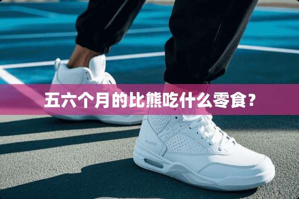 五六个月的比熊吃什么零食？
