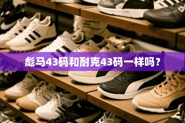 彪马43码和耐克43码一样吗？
