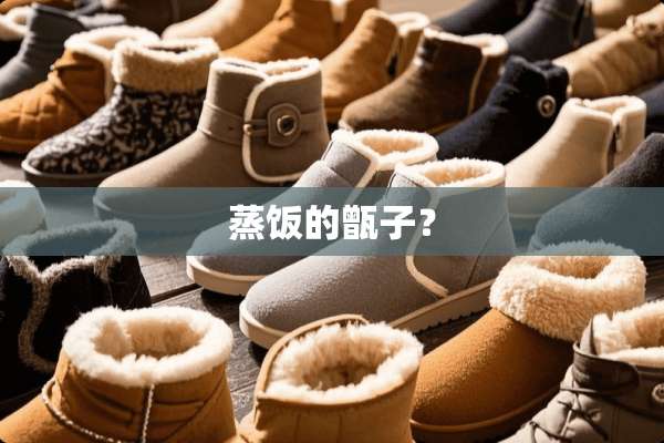 蒸饭的甑子？