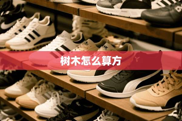 树木怎么算方