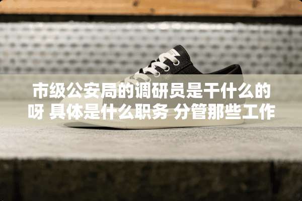 市级**局的调研员是干什么的呀 具体是什么职务 分管那些工作的 日常做些什么工作