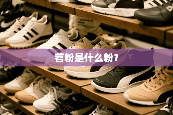 苕粉是什么粉？