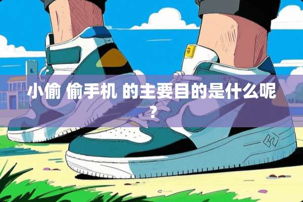 小偷 偷手机 的主要目的是什么呢？