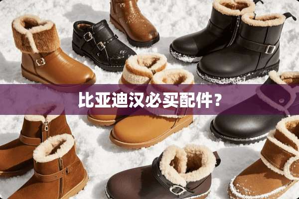 比亚迪汉必买配件？