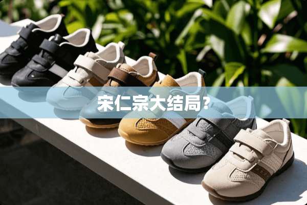 宋仁宗大结局？
