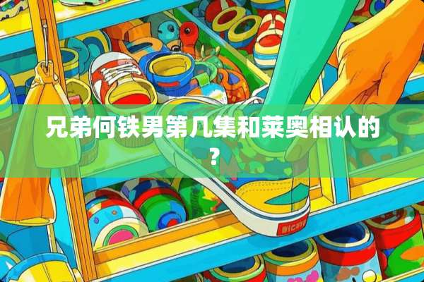兄弟何铁男第几集和莱奥相认的？