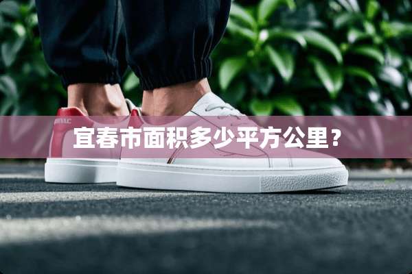 宜春市面积多少平方公里？