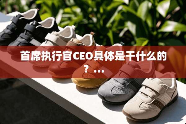 首席执行官CEO具体是干什么的？…