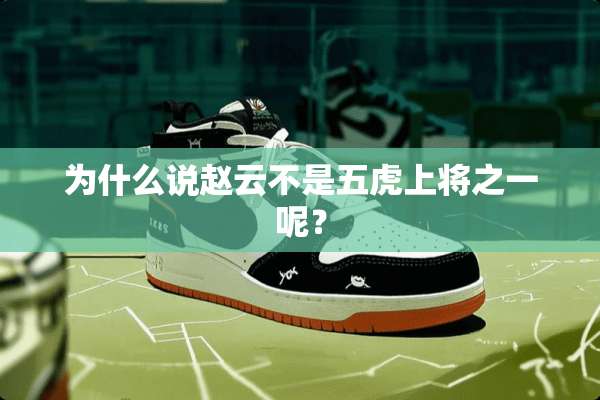 为什么说赵云不是五虎上将之一呢？