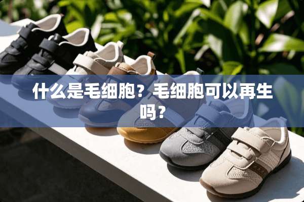 什么是毛细胞？毛细胞可以再生吗？