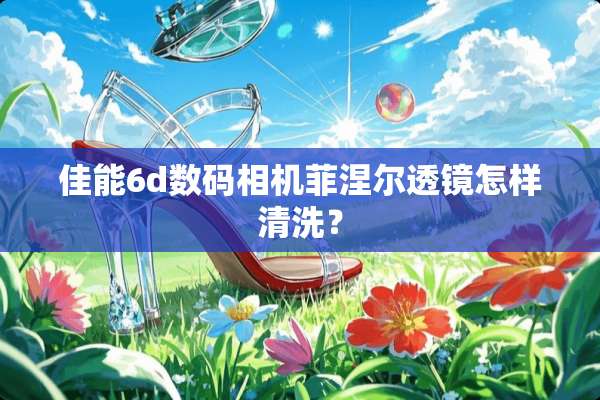 佳能6d数码相机菲涅尔透镜怎样清洗？