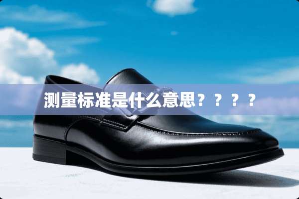 测量标准是什么意思？？？？
