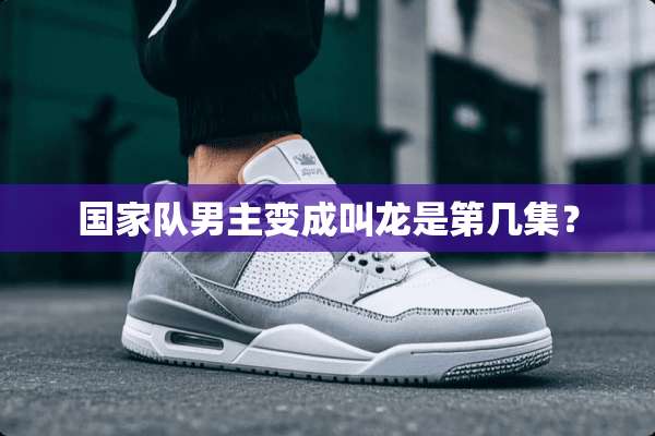 国家队男主变成叫龙是第几集？