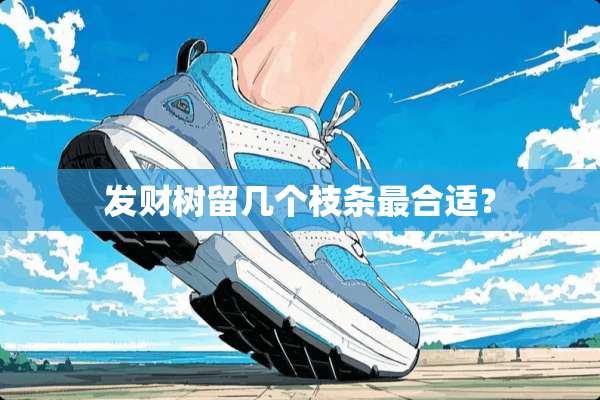 发财树留几个枝条最合适？