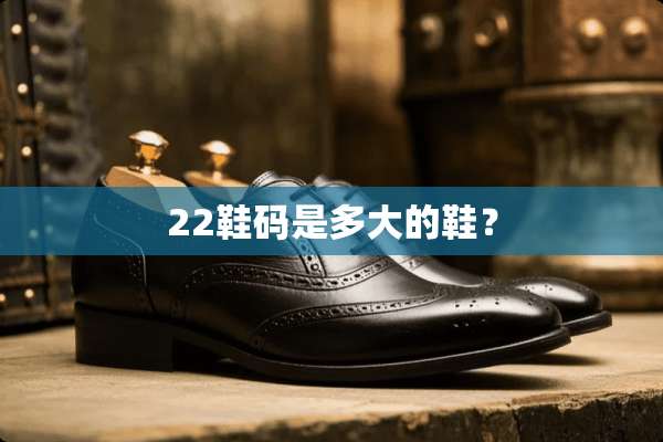 22鞋码是多大的鞋？