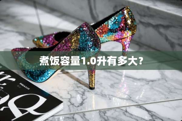 煮饭容量1.0升有多大？