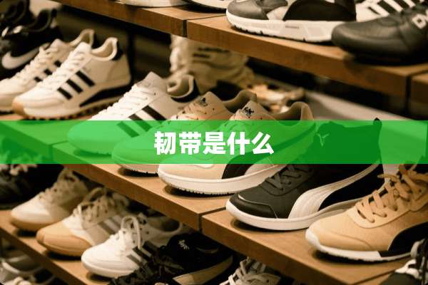 韧带是什么