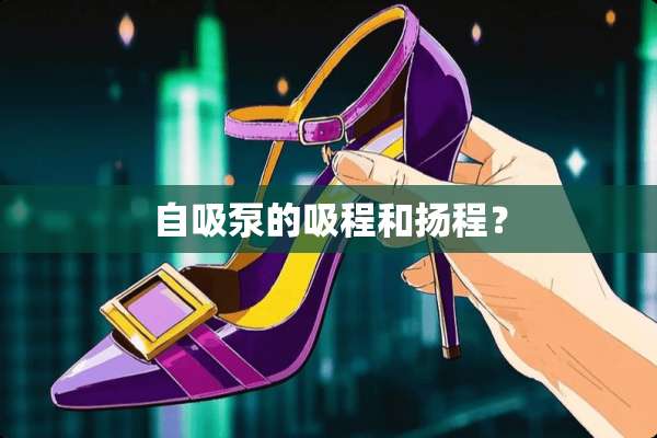 自吸泵的吸程和扬程？