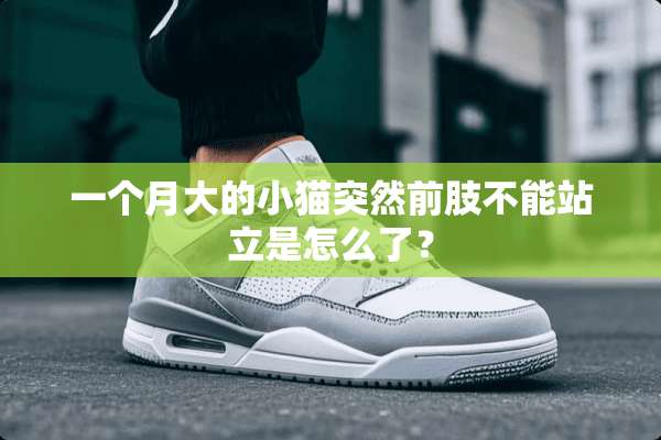 一个月大的小猫突然前肢不能站立是怎么了？