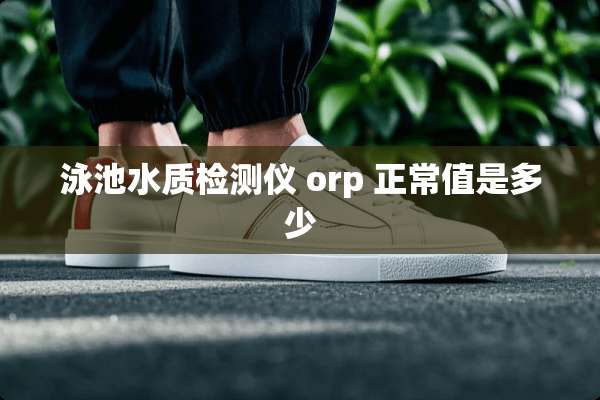 泳池水质检测仪 orp 正常值是多少