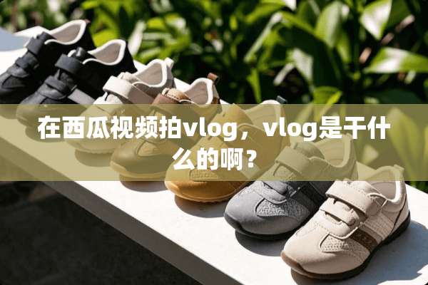在西瓜视频拍vlog，vlog是干什么的啊？