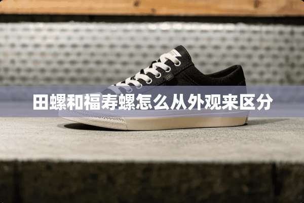 田螺和福寿螺怎么从外观来区分