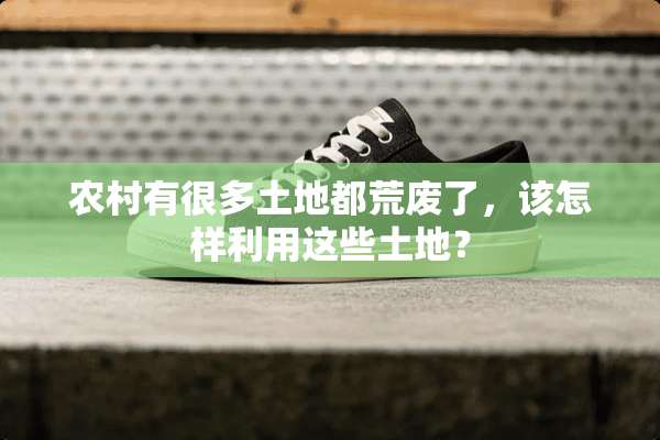 农村有很多土地都荒废了，该怎样利用这些土地？