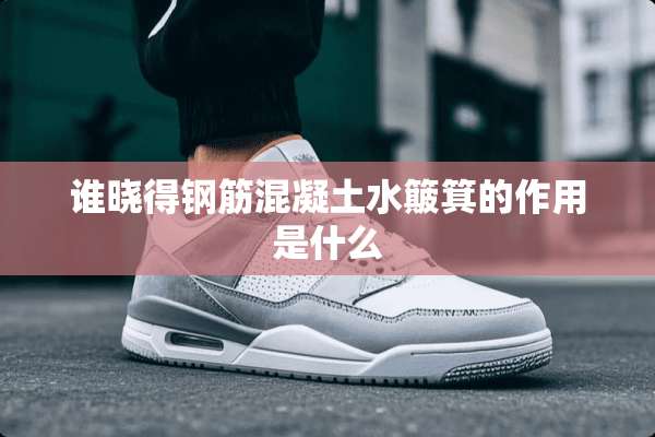 谁晓得钢筋混凝土水簸箕的作用是什么