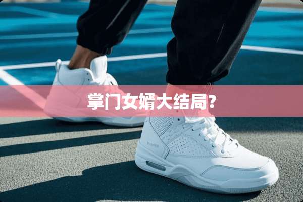 掌门女婿大结局？