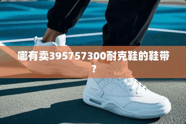 哪有卖395757300耐克鞋的鞋带？