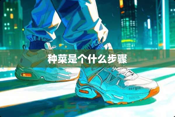 种菜是个什么步骤