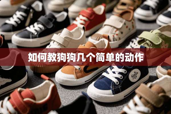 如何教狗狗几个简单的动作
