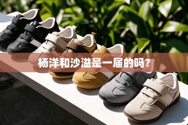 杨洋和沙溢是一届的吗？