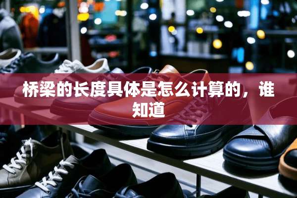 桥梁的长度具体是怎么计算的，谁知道