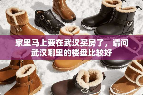 家里马上要在武汉买房了，请问武汉哪里的楼盘比较好