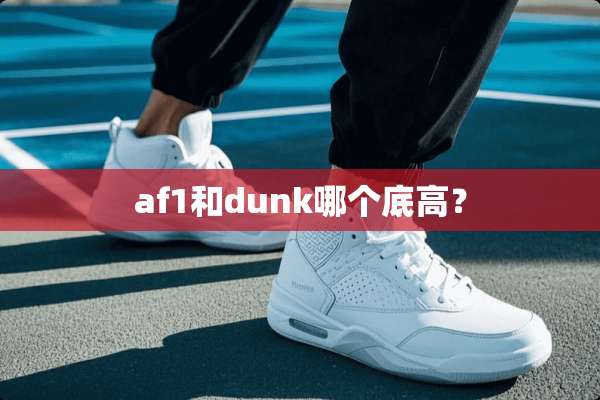 af1和dunk哪个底高？