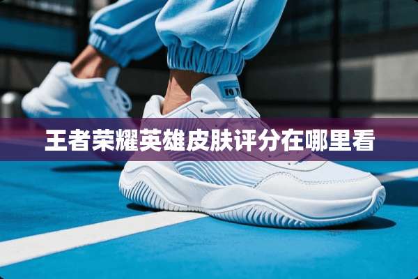 王者荣耀英雄皮肤评分在哪里看