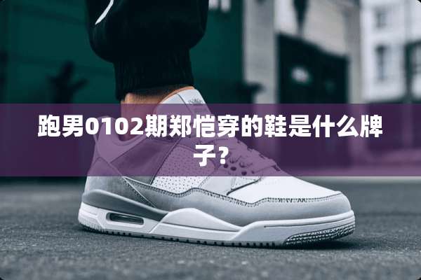 跑男0102期郑恺穿的鞋是什么牌子？