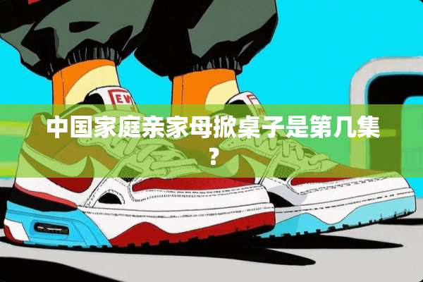 中国家庭亲家母掀桌子是第几集？