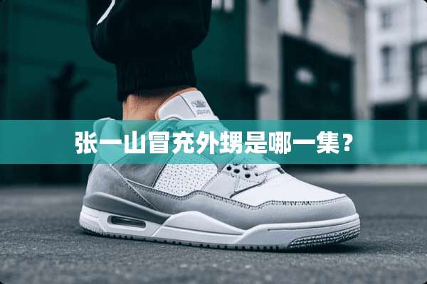 张一山冒充外甥是哪一集？