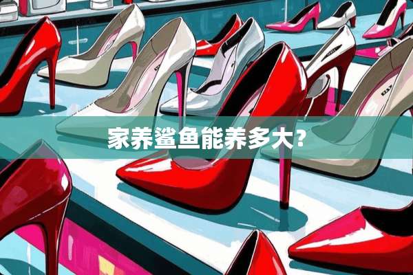 家养鲨鱼能养多大？