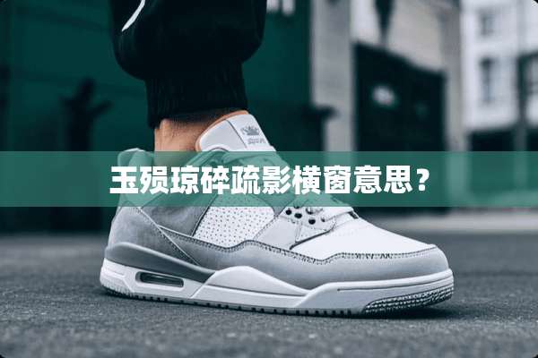 玉殒琼碎疏影横窗意思？
